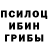 Псилоцибиновые грибы Cubensis Oleg Glinskih